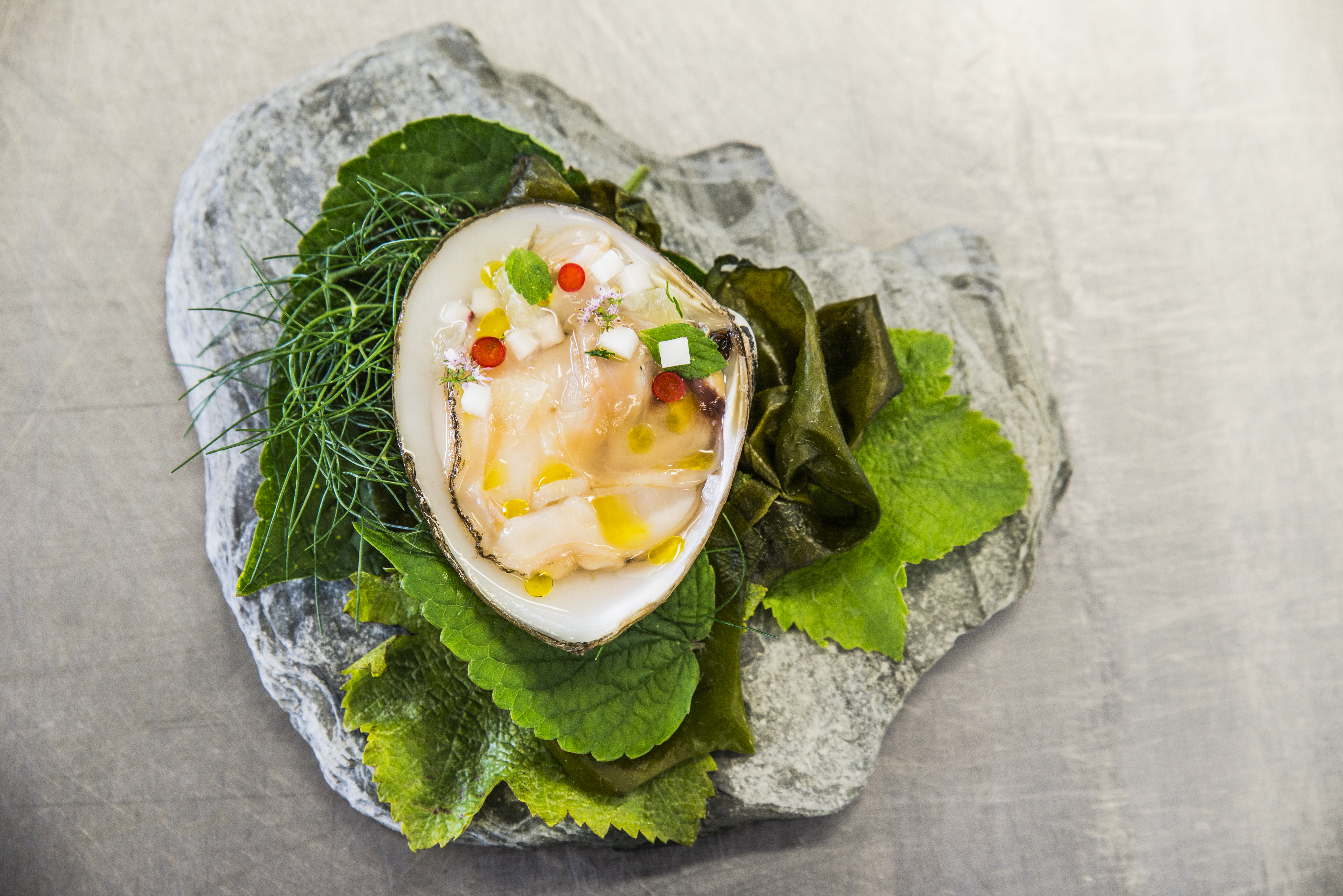 Chef-plated Storm Shell clam on stone with fennel and kelp