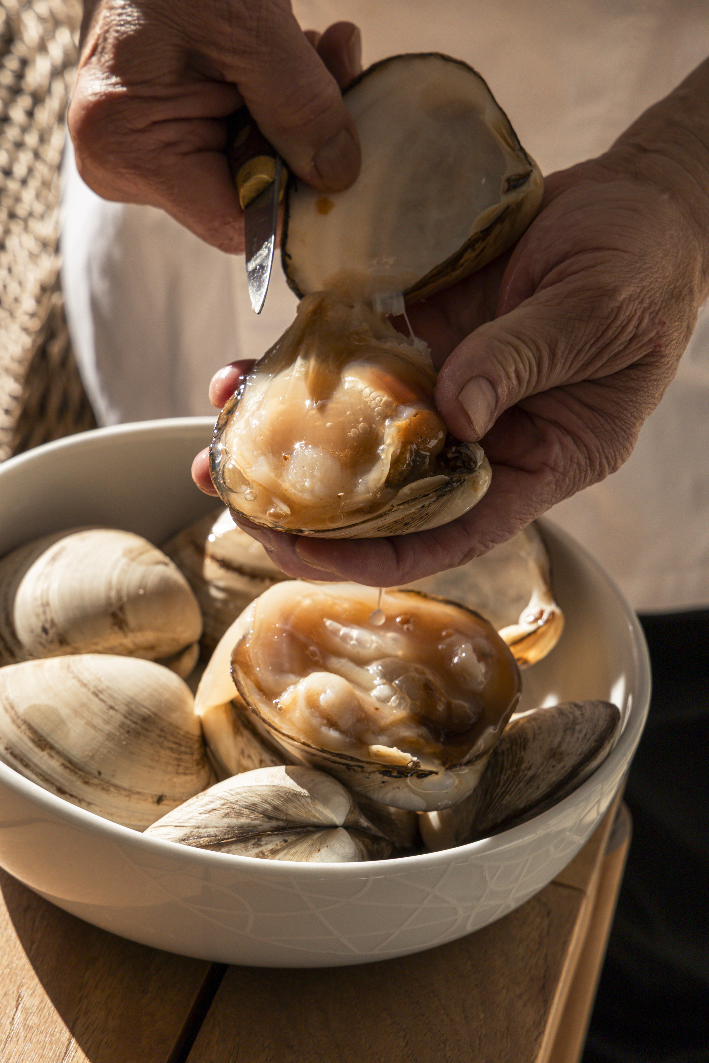 Shucking a Storm Shell clam by hand