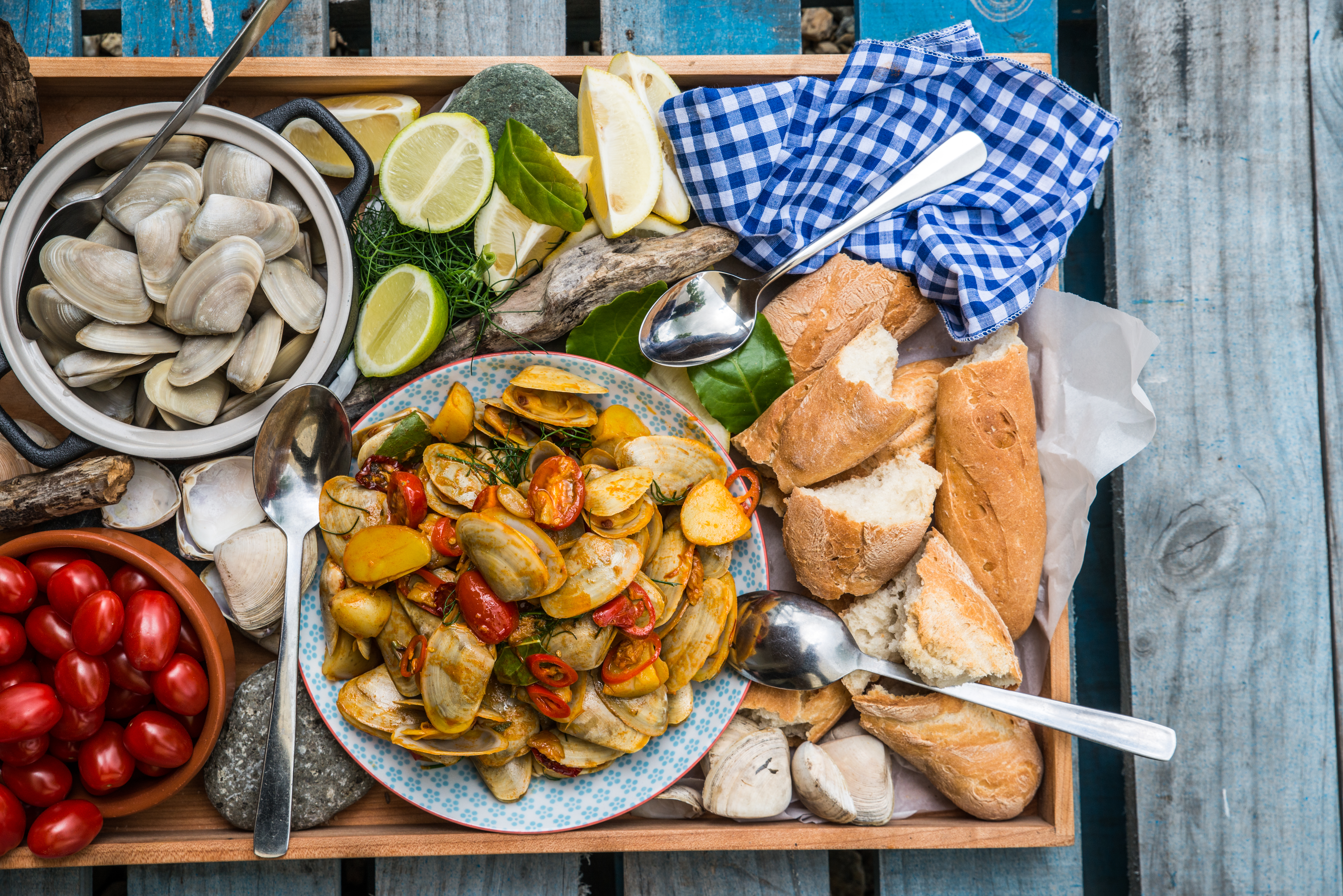 Tuatua clam feast spread with bread and tomatoes