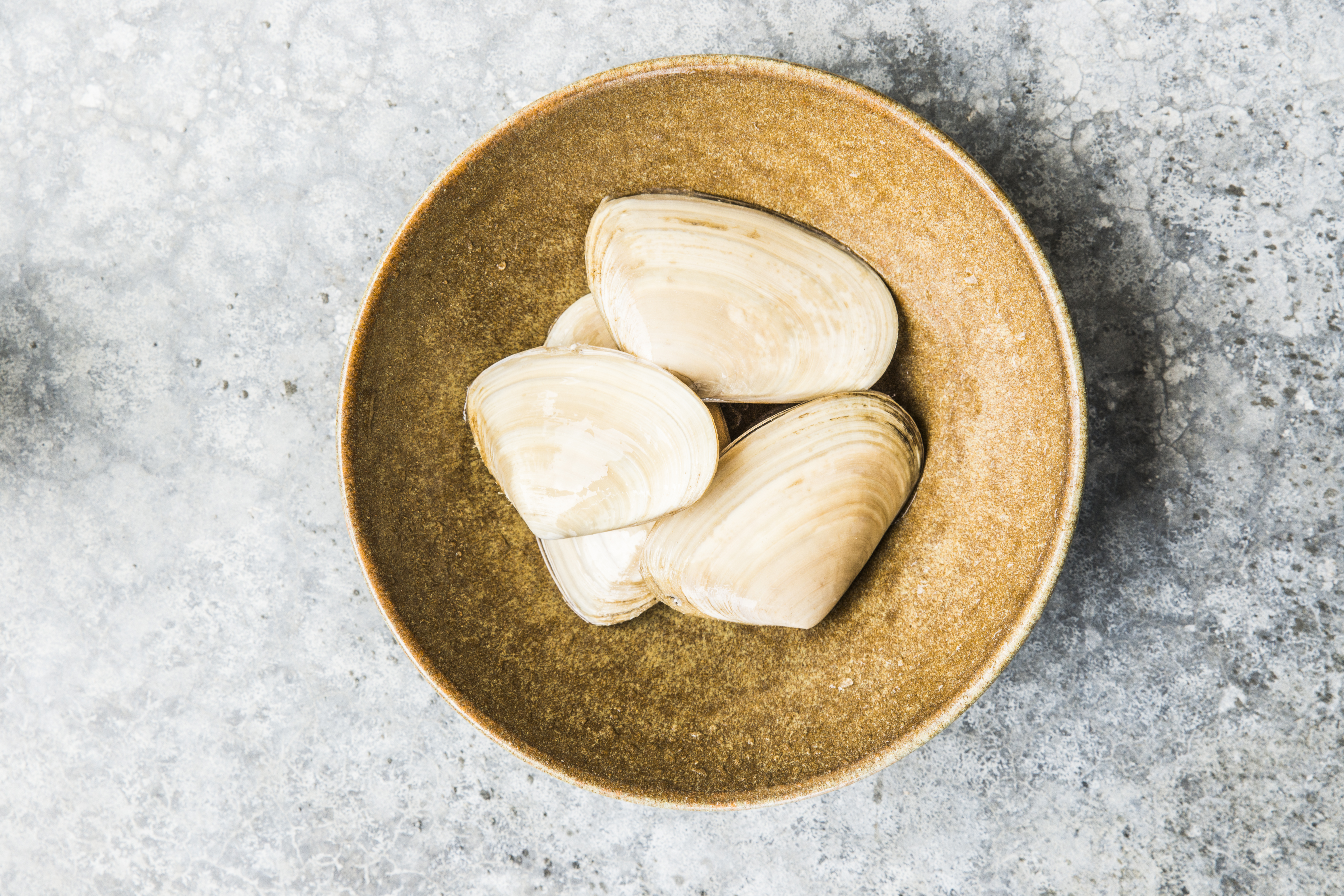 Raw Tuatua clams in a rustic bowl