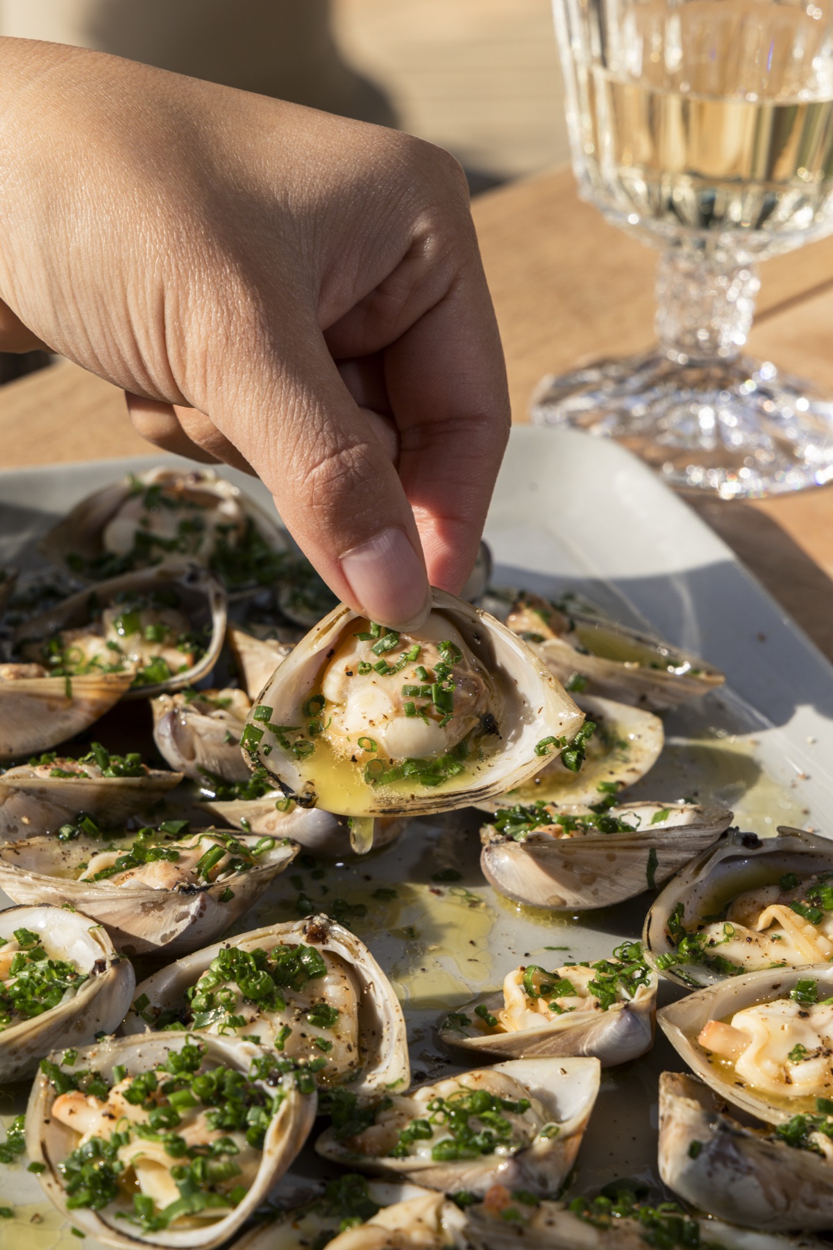 The Diamond Shell Clam