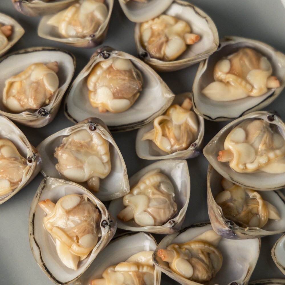 Diamond Shell clam platter, beige shells around rich deep-coloured meat