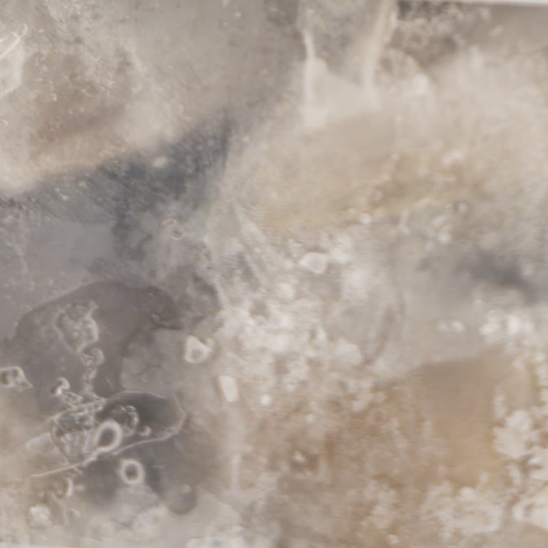 Individually quick frozen clams in ice