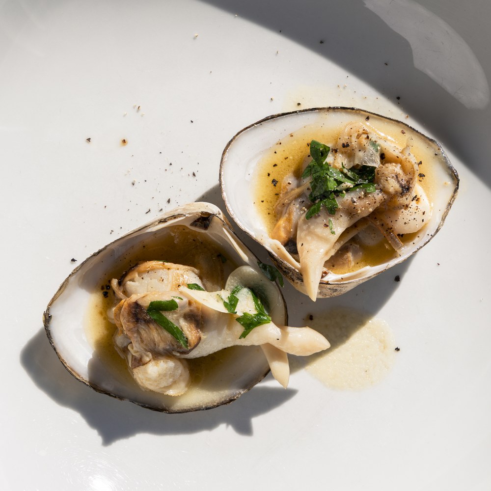 Cooked Storm Shell clams