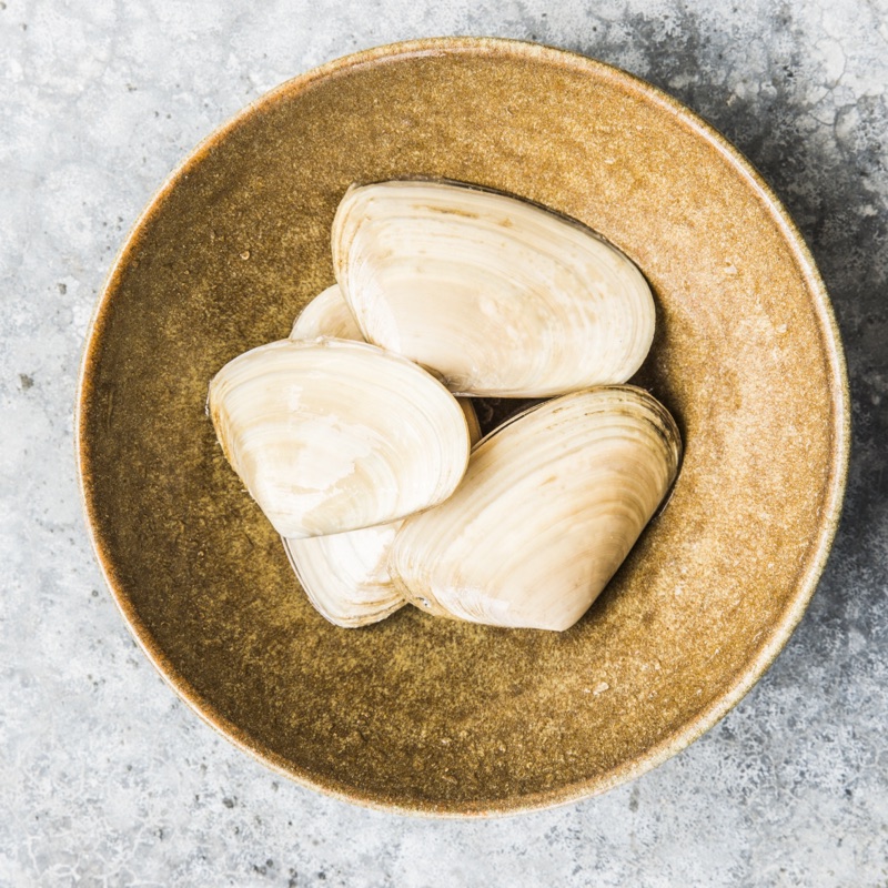 Whole raw Tuatua clams in a rustic bowl