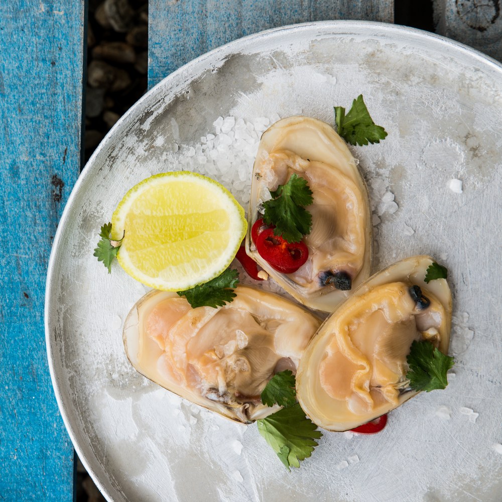 Whole raw Tua Tua clams, cream to light moss shells, in a bowl